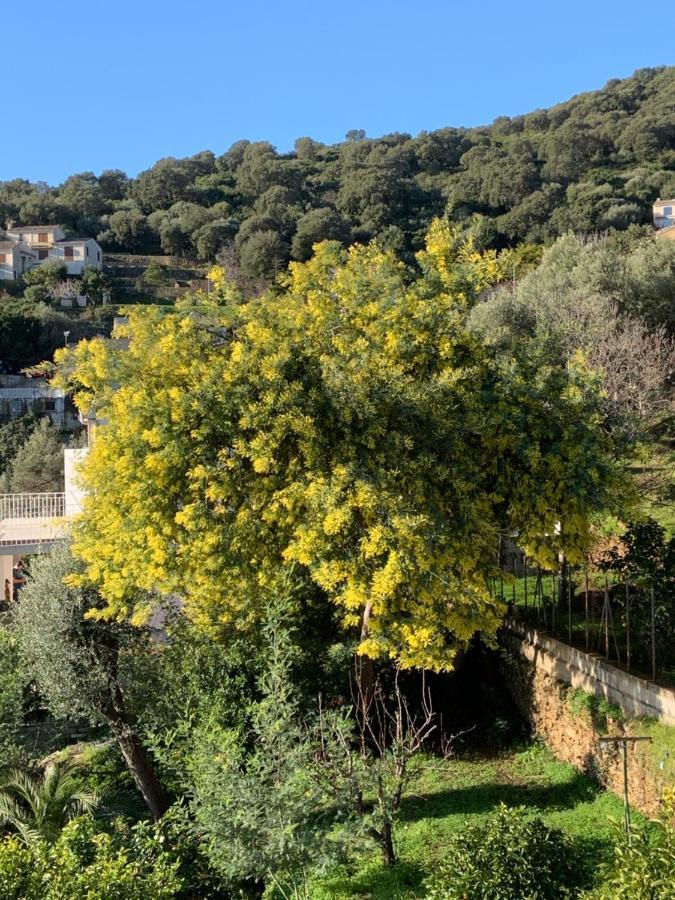 Vita Nova Santa-Maria-di-Lota Bagian luar foto