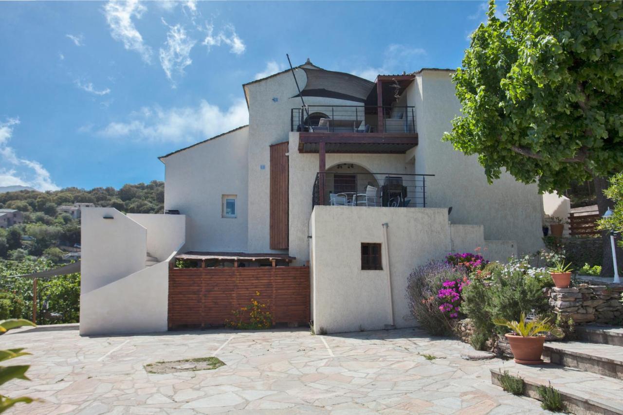 Vita Nova Santa-Maria-di-Lota Bagian luar foto