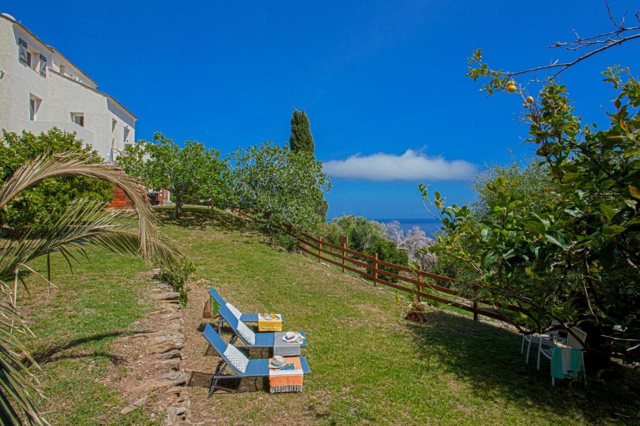 Vita Nova Santa-Maria-di-Lota Bagian luar foto