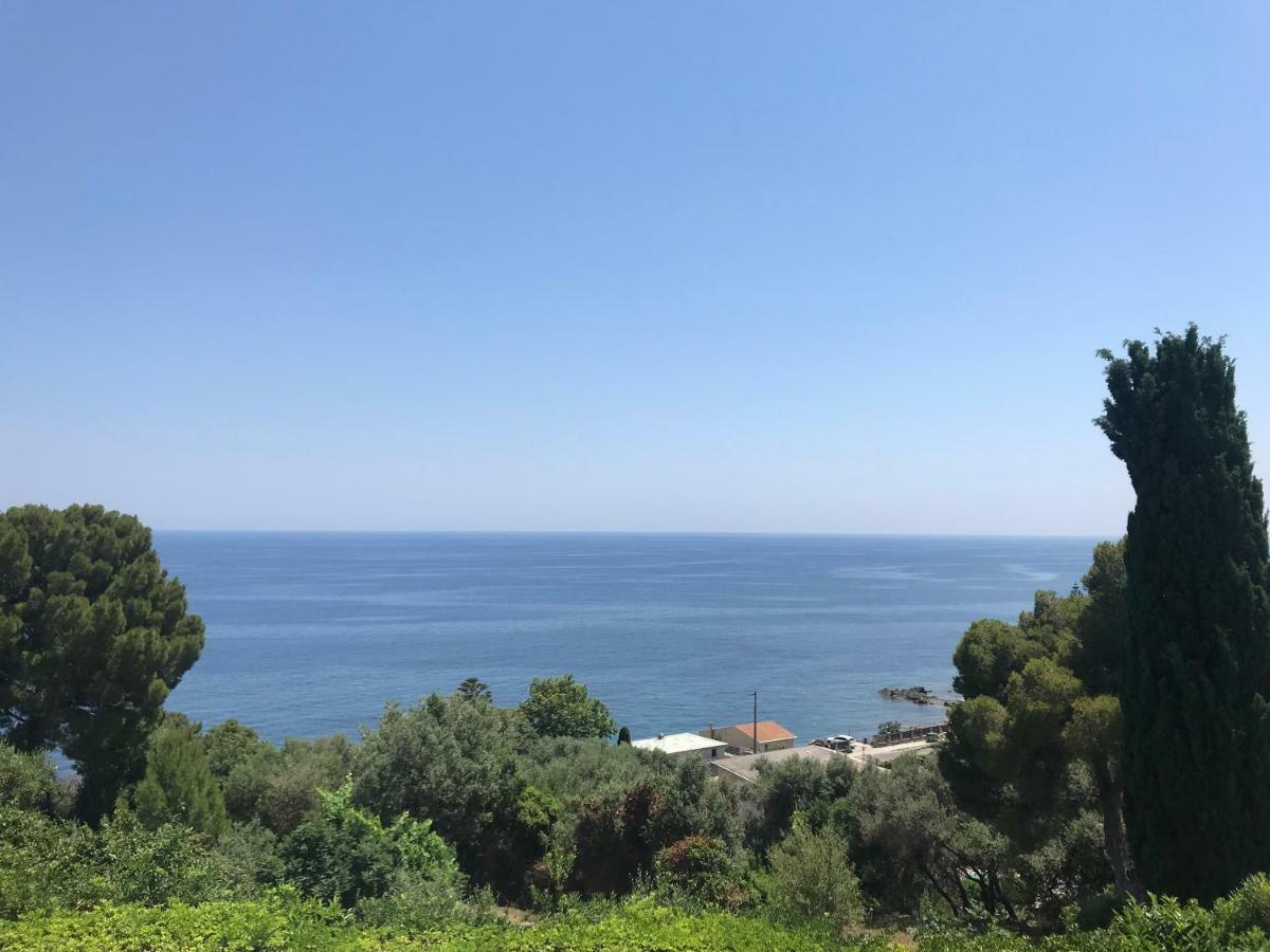 Vita Nova Santa-Maria-di-Lota Bagian luar foto