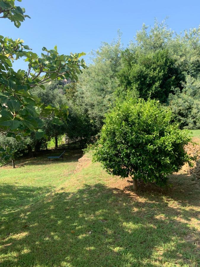 Vita Nova Santa-Maria-di-Lota Bagian luar foto
